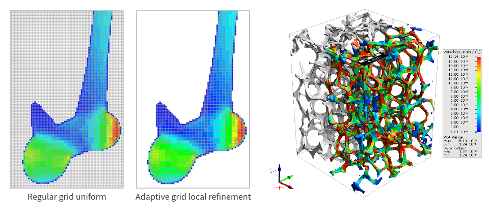 Left: Explanation of adaptive grid refinement. Right: Compression experiment on an aluminium foam structure and von-mises-strain visualization